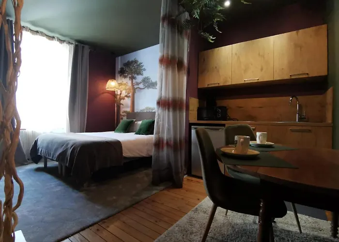 La Maison Saint Louis 아파트 숄레